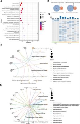 Integrative profiling of extrachromosomal circular DNA in placenta and maternal plasma provides insights into the biology of fetal growth restriction and reveals potential biomarkers